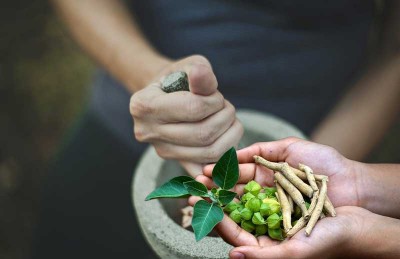 Countdown to second WHO Global Summit on Traditional Medicine begins