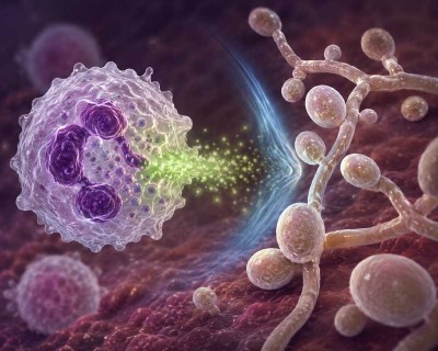 Scientists Discover How Deadly Fungi Weaken the Immune System; Open Door to New Treatments