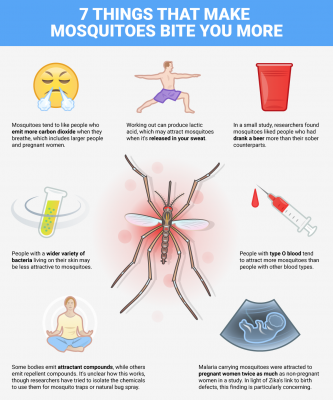 What Makes Mosquitoes Bite You More?