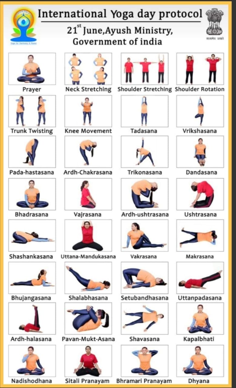 Common Yoga Protocol l International Yoga Day by IndeaYoga l Asana
